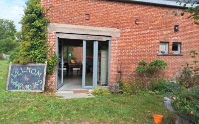 Dagretreat ‘Yoga en Wandelen’