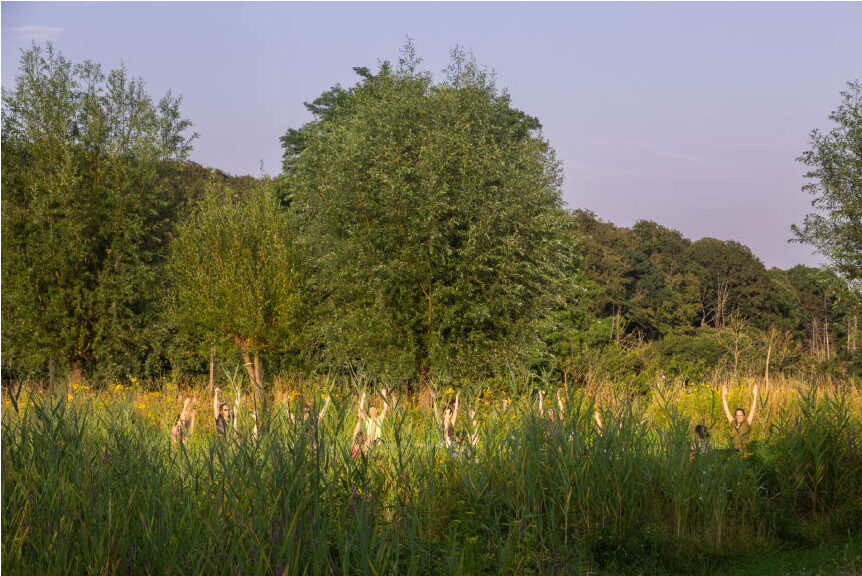Yoga in de natuur in juli