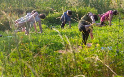 Yoga in de natuur