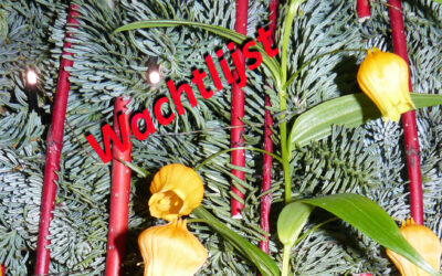 Yoga nidra en midwinter-meditatie