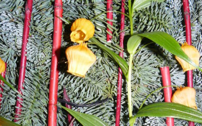 Yoga nidra en midwinter-meditatie